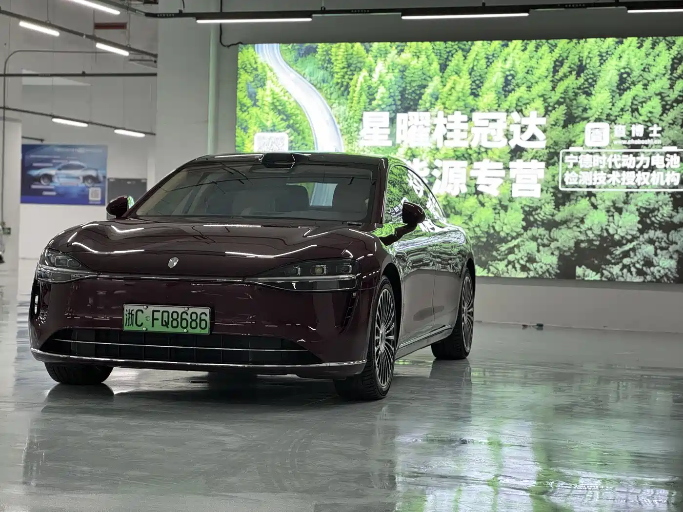 Xiangjie Enjoy World S9 2025 Extended Range Max
