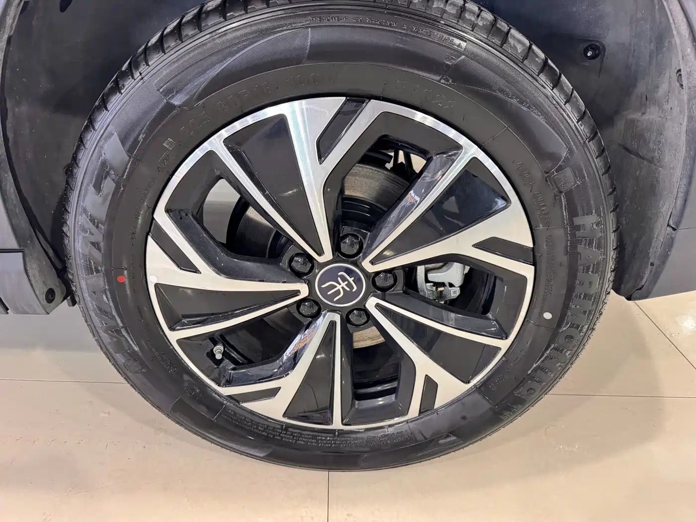 BYD SONGJIANG NEW ENERGY