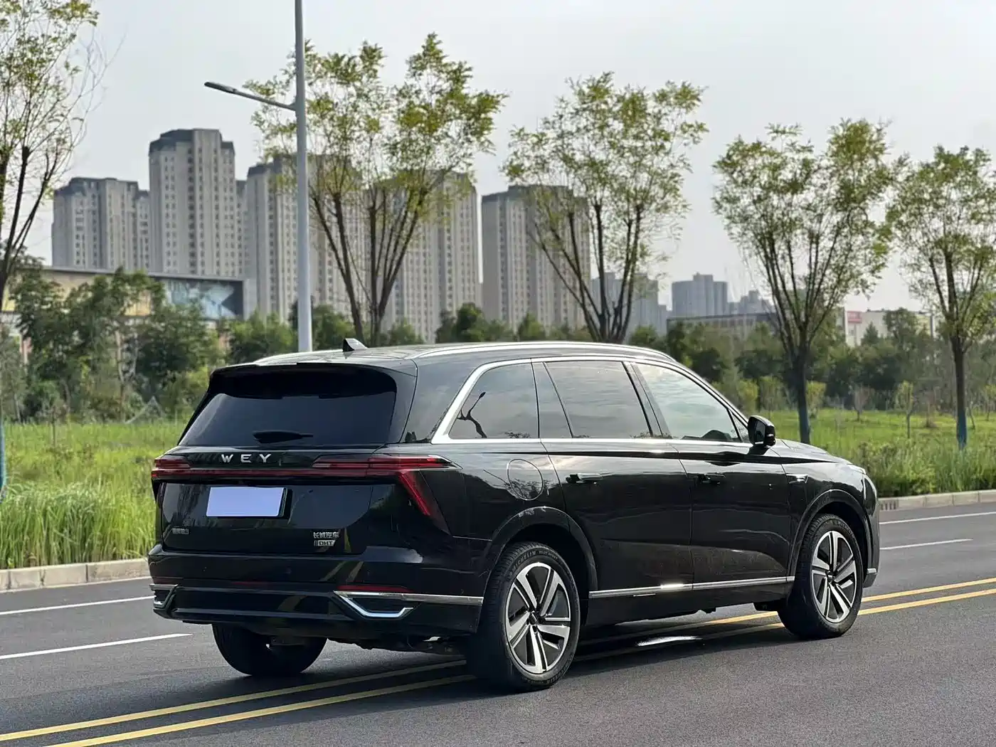 WEY Lanshan 2023 2023 AWD Ultra Long Range Edition