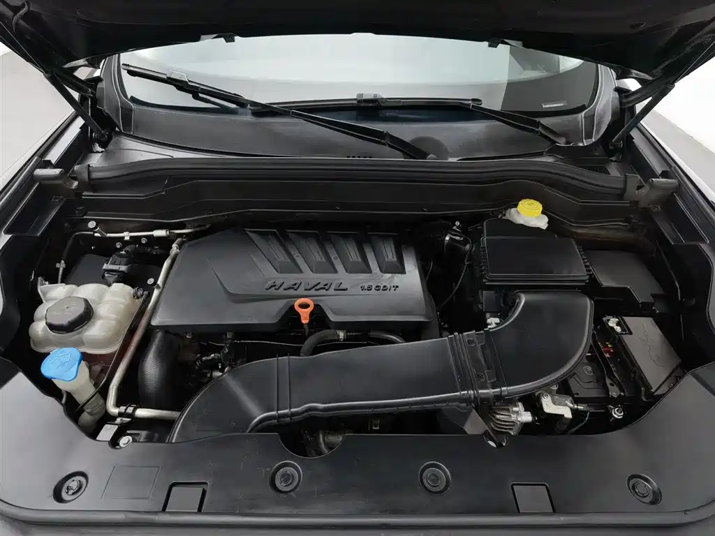 Haval H6 2020 1.5GDIT Automatic Platinum Champion Edition фото 6
