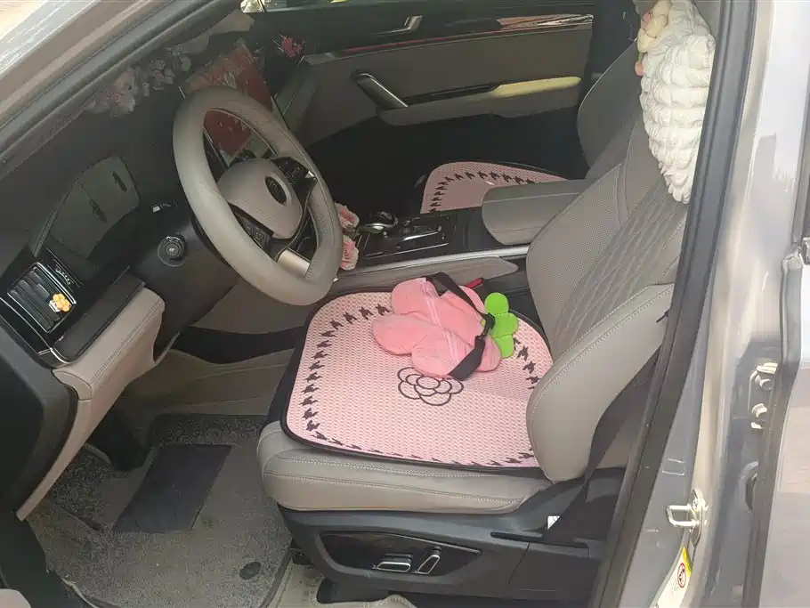 BYD Tang New Energy 2025 Smart Driving Edition DM-i 115KM Premium фото 8