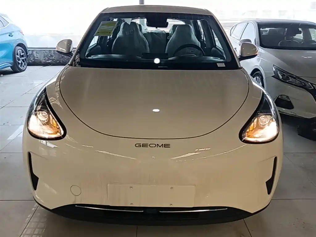 Geely Galaxy Starry Wish 2026 Edition 310km Youth Version фото 3