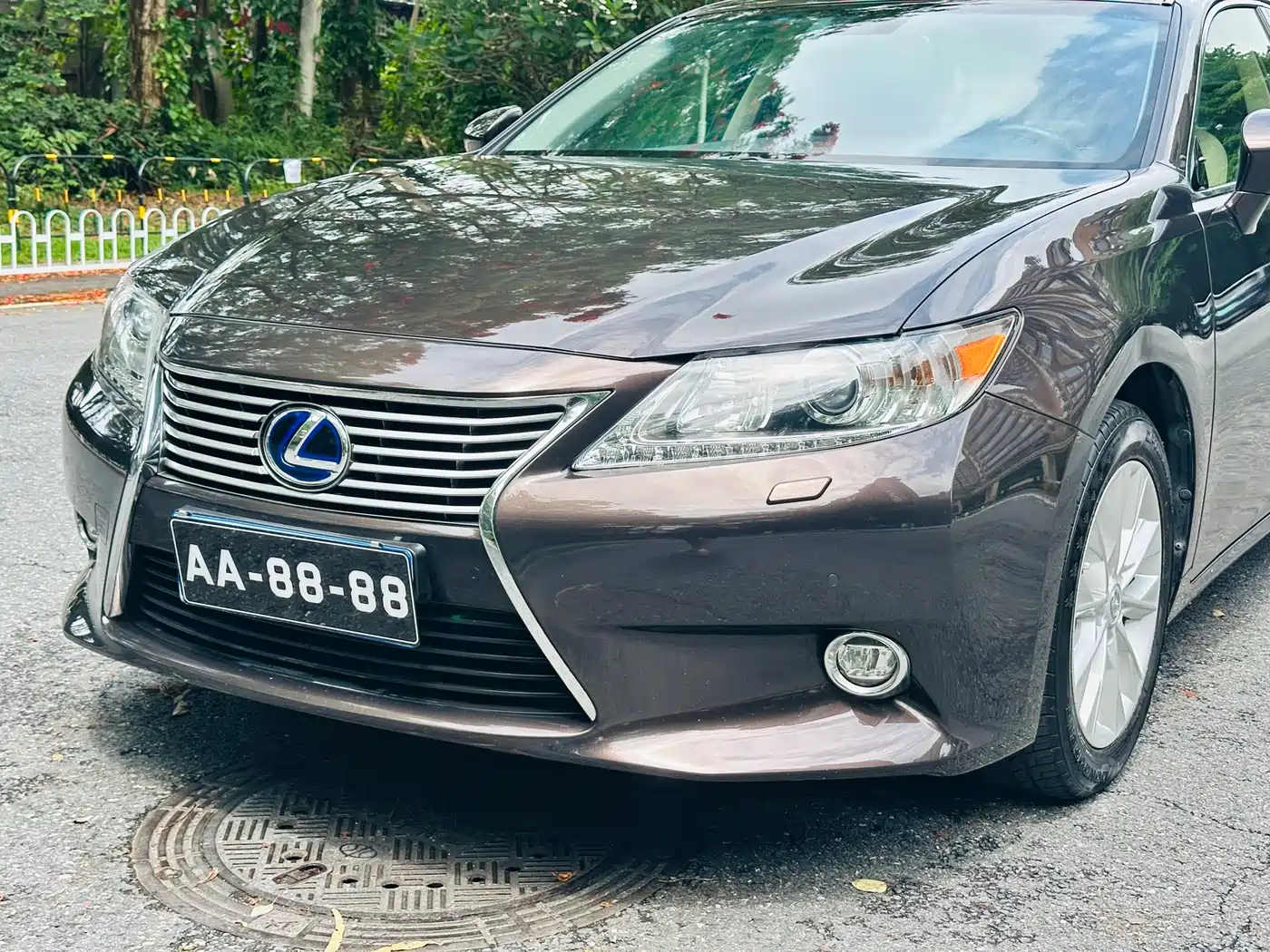 Lexus ES 2014 300h Elite Edition фото 4