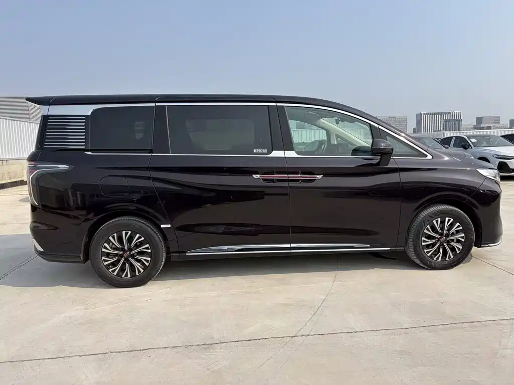 Фото 5 - Hongqi HQ9