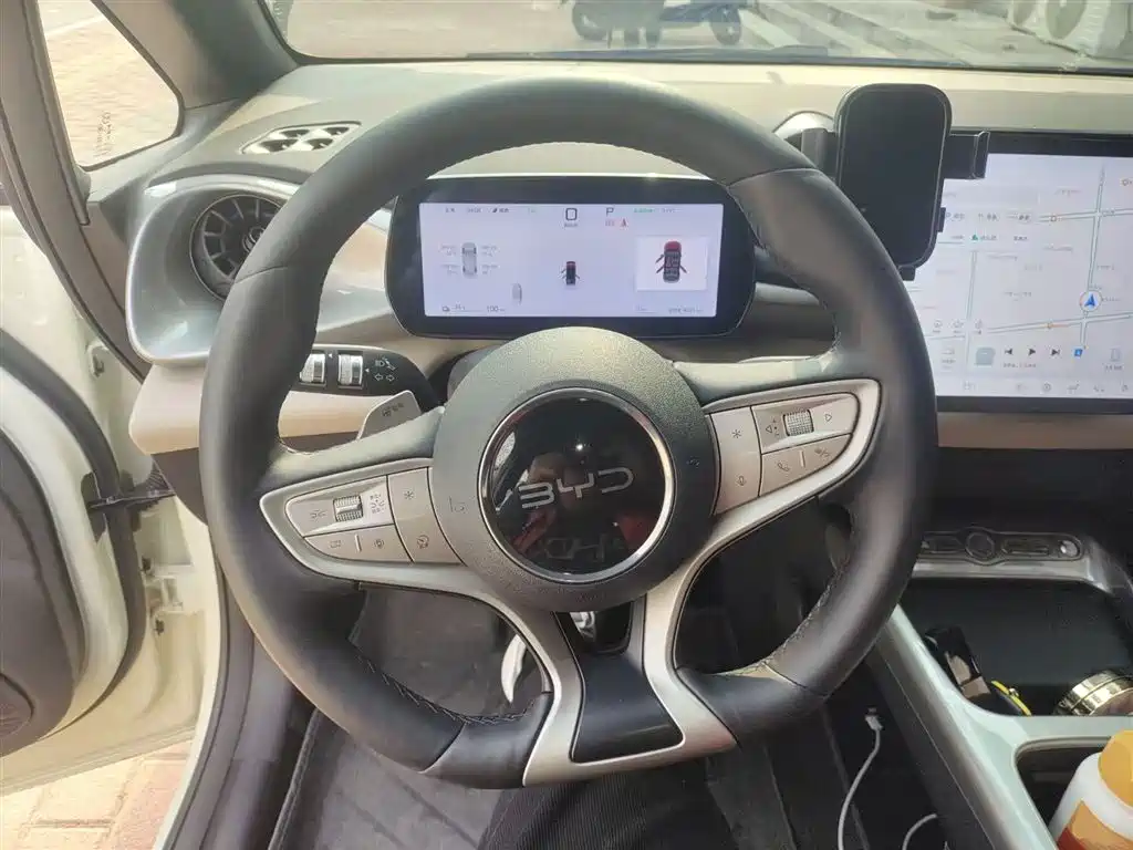 BYD Dolphin 2025 Smart Drive Edition 420km Freedom Version фото 11