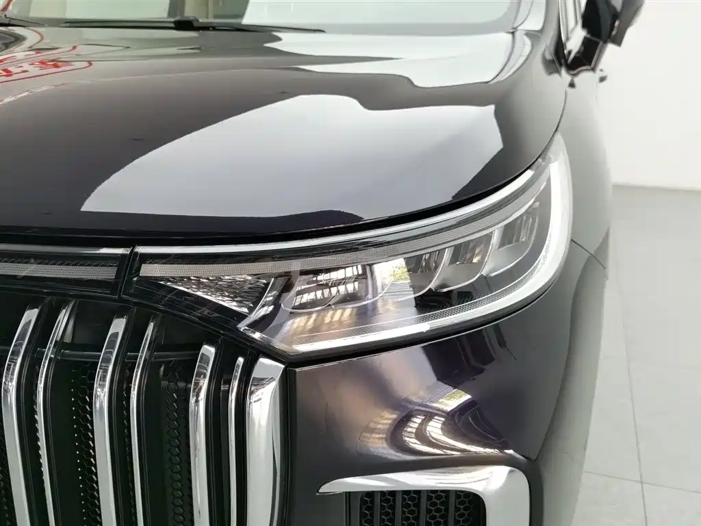 Voyah Auto Voyah Dreamer 2024 PHEV Extended Range Premium Edition фото 7