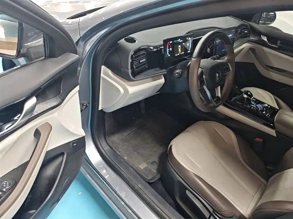 BYD Qin PLUS 2024 Glory Edition DM-i 55KM Leading фото 16