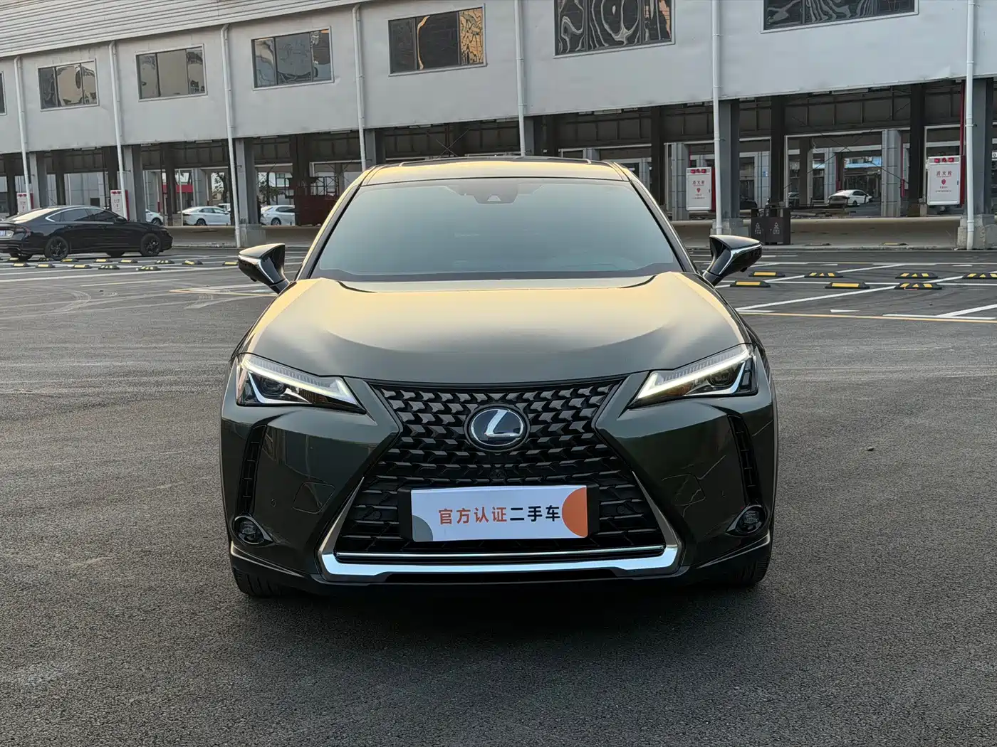 Lexus UX Electric 2021 2020 300e Pure Yue Edition