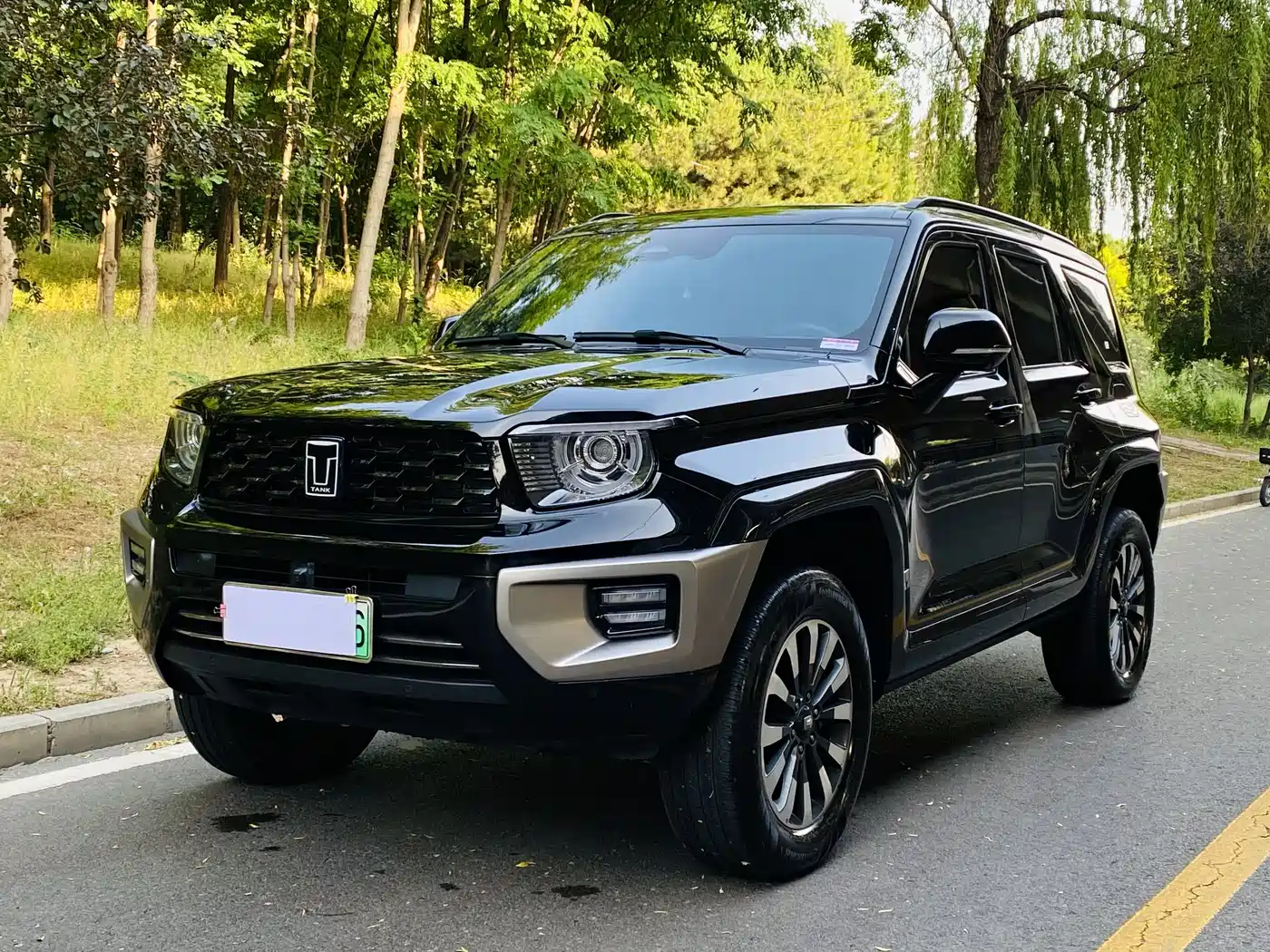 Tank 700 New Energy 2024 Hi4-T Ultimate Edition