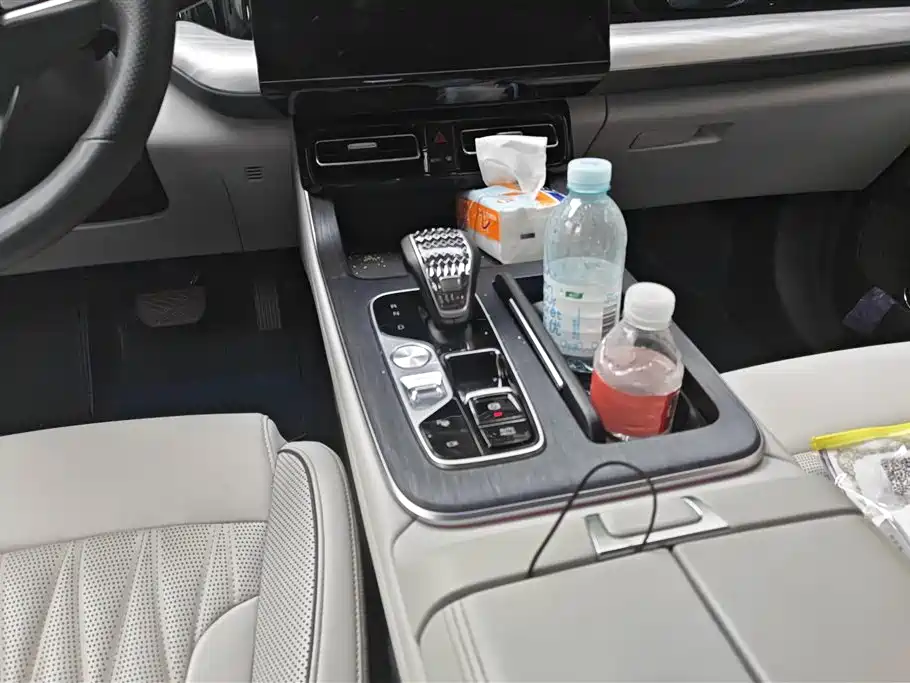 GAC Trumpchi Trumpchi GS8 2022 Pilot Series 2.0TGDI 2WD Premium Edition (6-Seater) фото 16