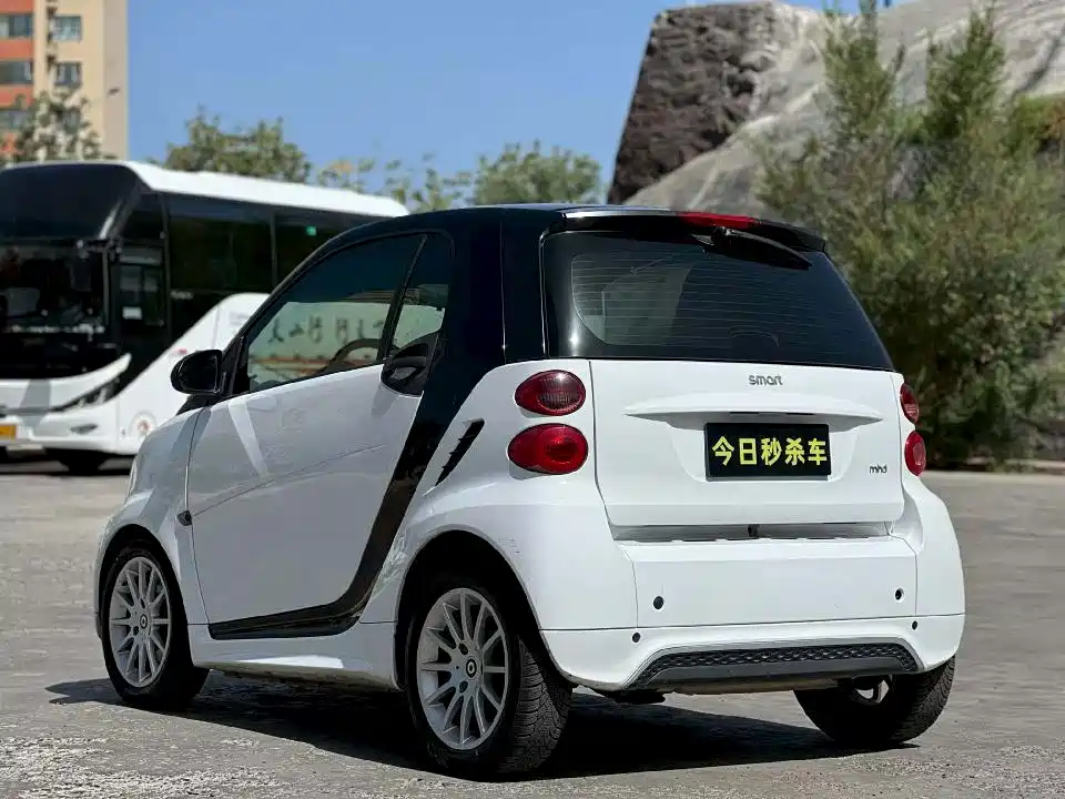 smart fortwo 2013 2013 1.0T Hardtop Ice Special Edition