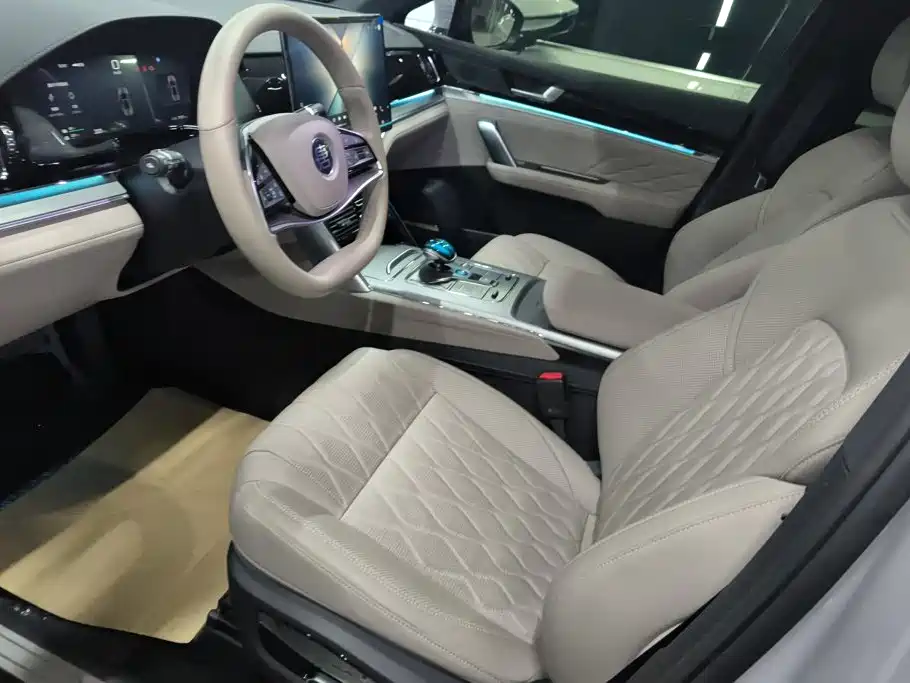 BYD Tang New Energy 2026 2025 Smart Driving Edition DM-i 115KM Premium