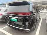 Фото 3 - Denza D9