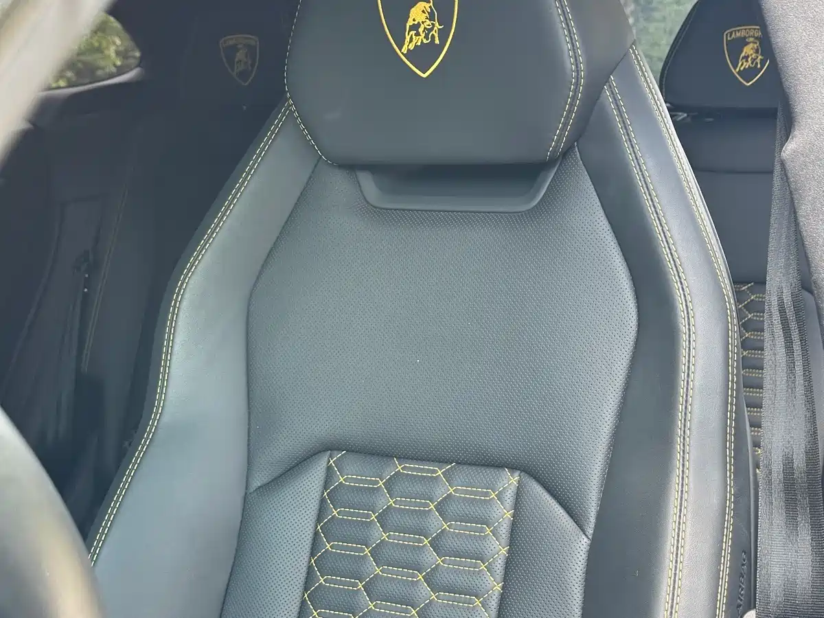Lamborghini Urus 2021 4.0T V8 фото 7