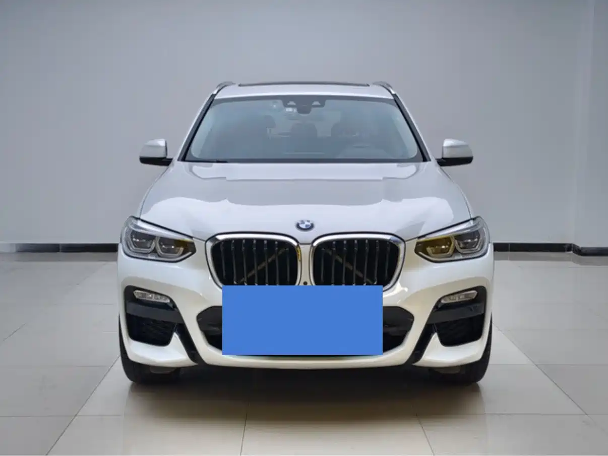BMW X3 2018 xDrive30i Leading M Sport Package China V