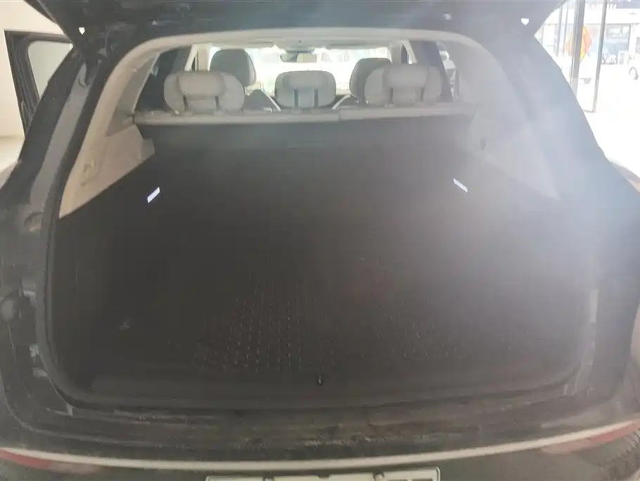 Voyah Auto VOYAH FREE 2021 4WD Extended Range Launch Edition Exclusive Luxury Package фото 4