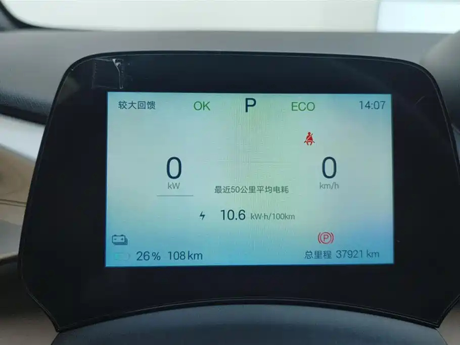 BYD Dolphin 2025 420km Freedom Edition фото 14
