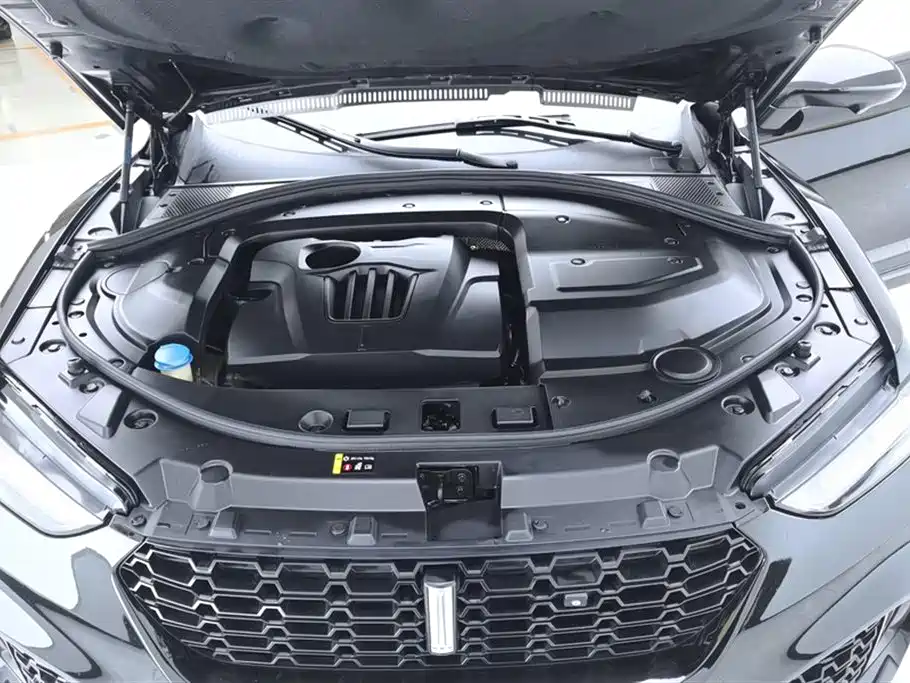 WEI PAI WEI BRAND VV7