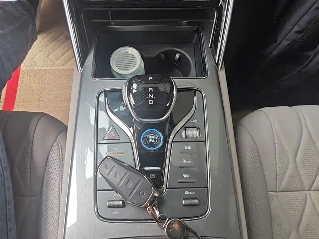 BYD Tang New Energy 2025 DM-i 115KM Premium фото 14