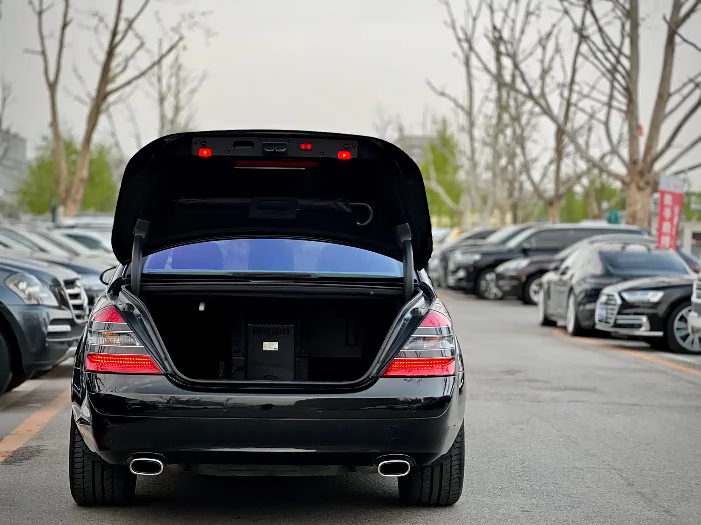 Mercedes-Benz S-Class 2008 Model S 600 L фото 6