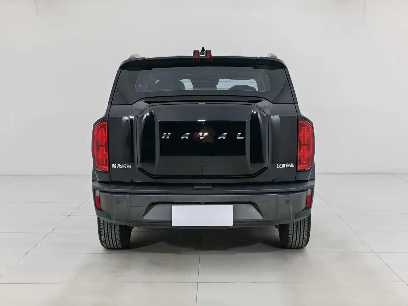 Haval Cool Dog 2022 1.5T DCT 2WD Trend Edition фото 5