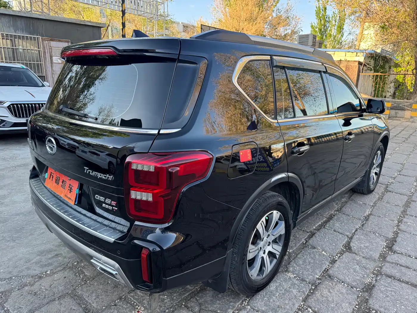 GAC Trumpchi Trumpchi GS8 2020 Model 390T FWD Luxury (5-seater) фото 9