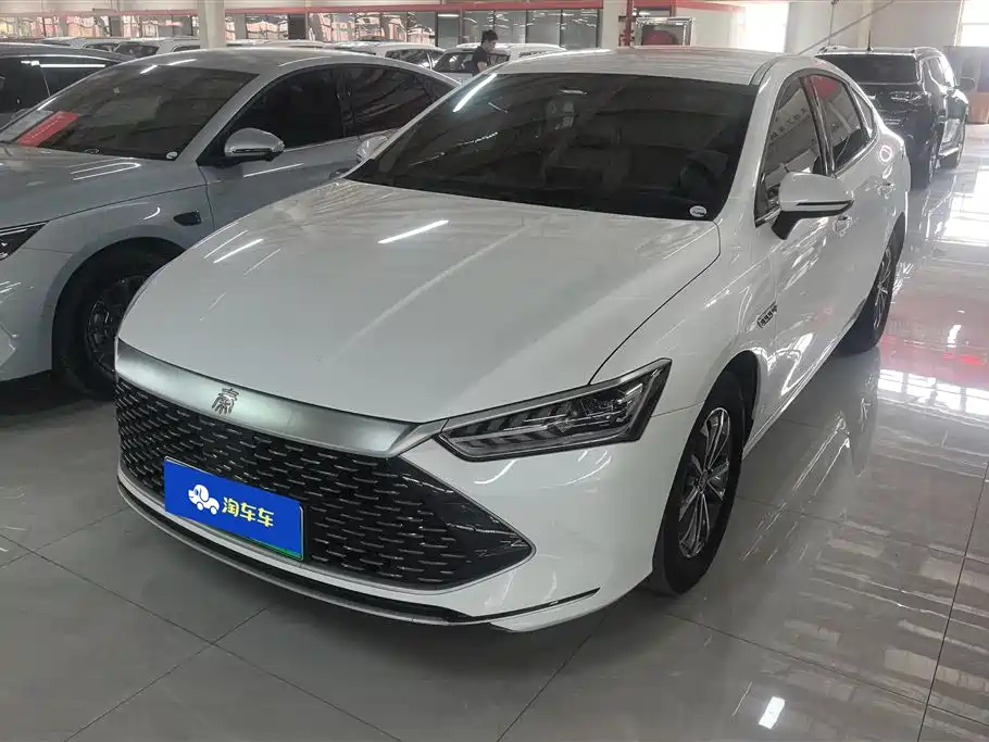 BYD Qin PLUS 2024 Glory Edition DM-i 55KM Leading