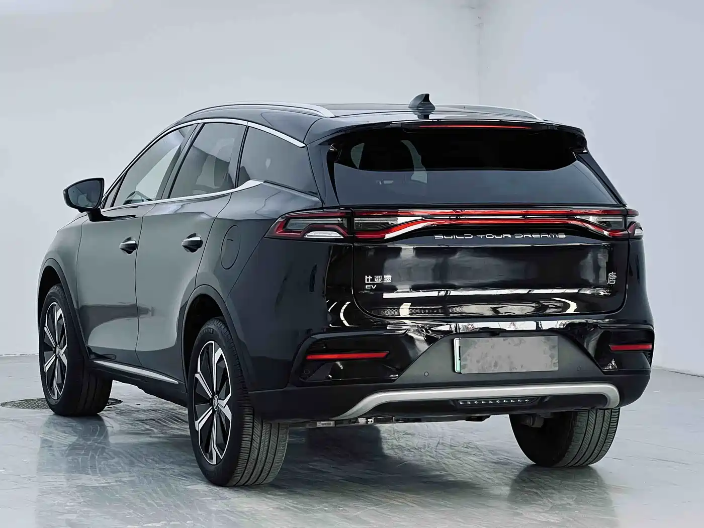BYD Tang New Energy 2022 EV 600KM Premium Edition фото 7