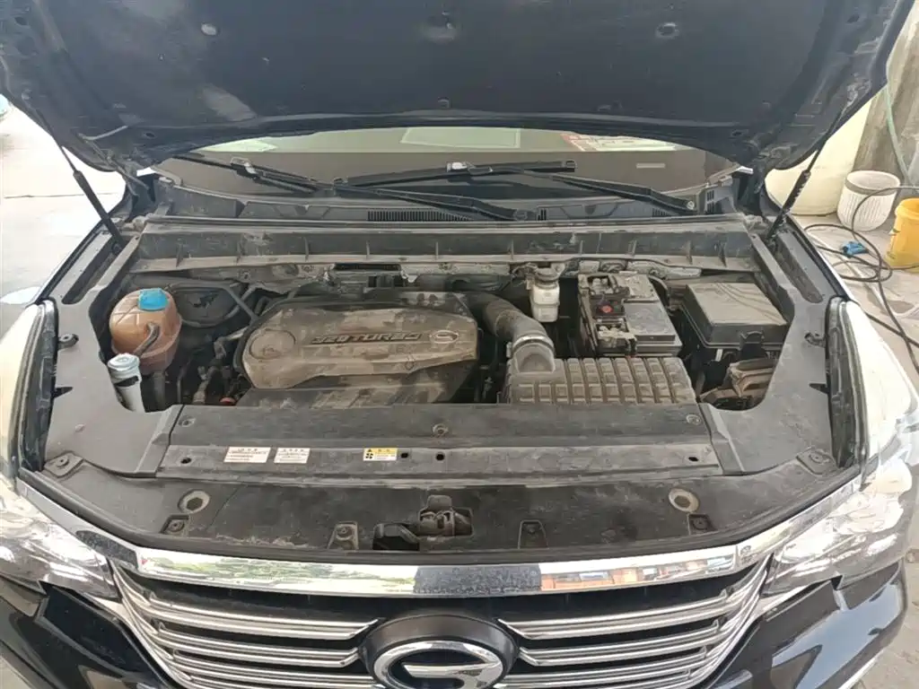 GAC Trumpchi Trumpchi GS8 2017 320T 2WD Luxury Smart Connect (7-seater) фото 20