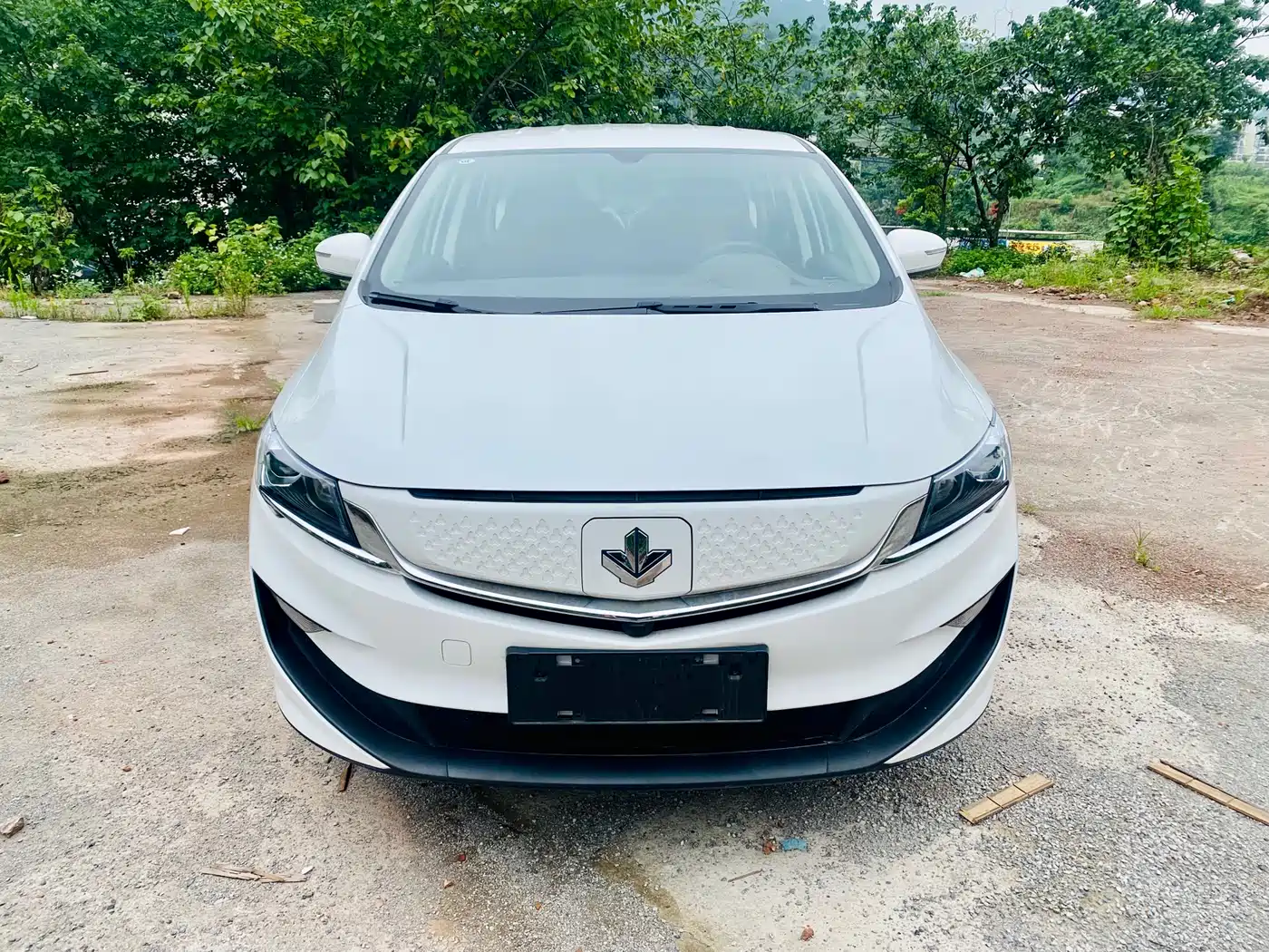 Ruilan Auto Maple 80v 2026 2021 Youxing Edition Ternary Lithium