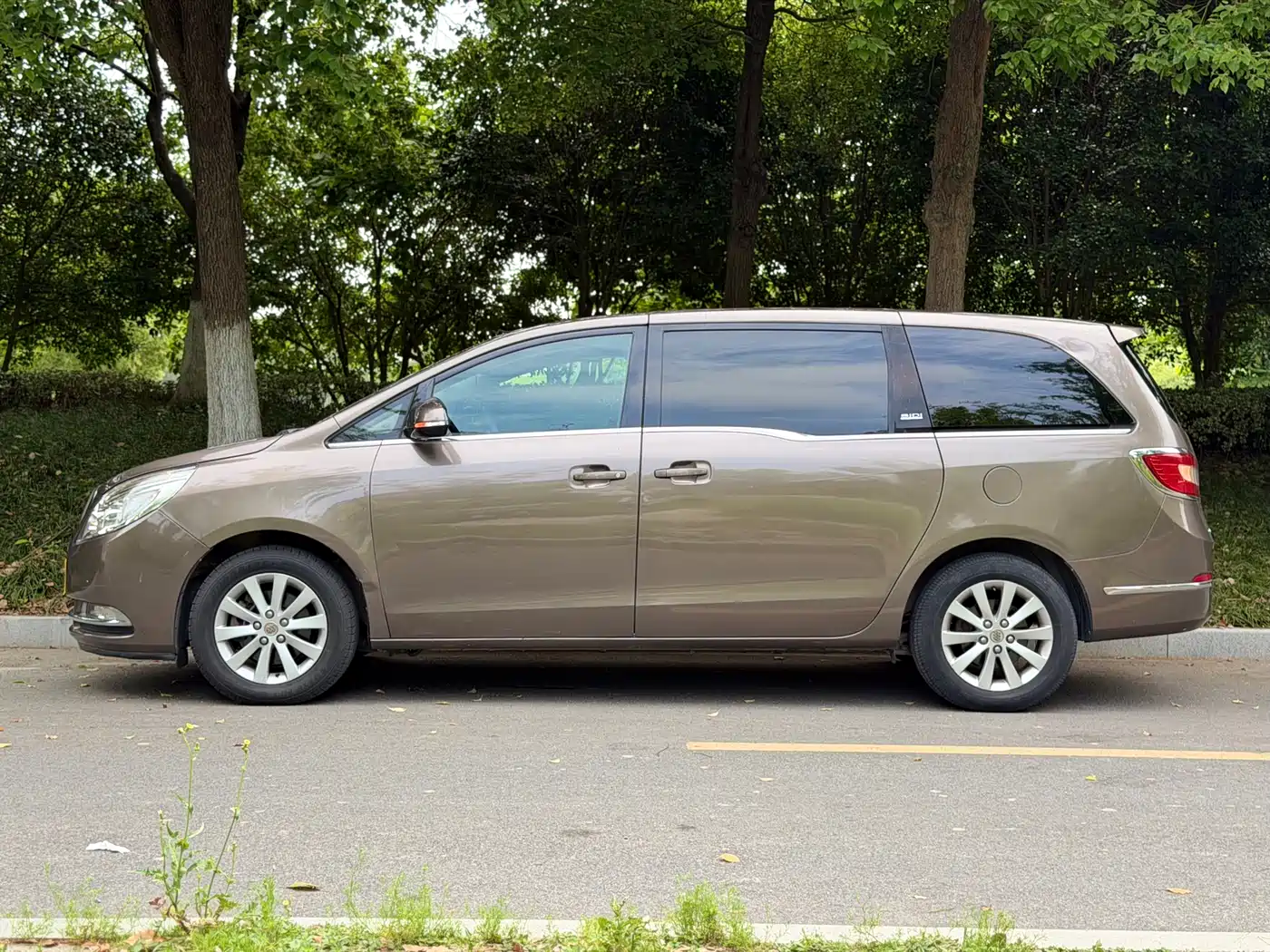 Buick GL8 2013 2.4L CT Luxury Business Comfort Edition фото 7