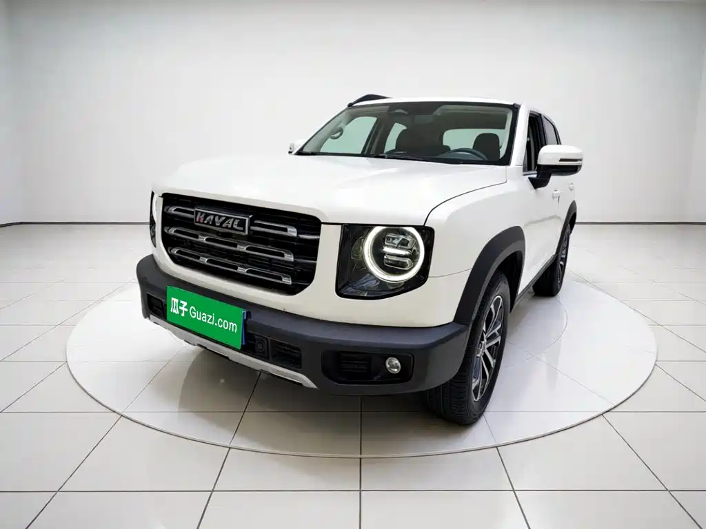 Haval Big Dog 2021 1.5T DCT 2WD Border Collie Edition
