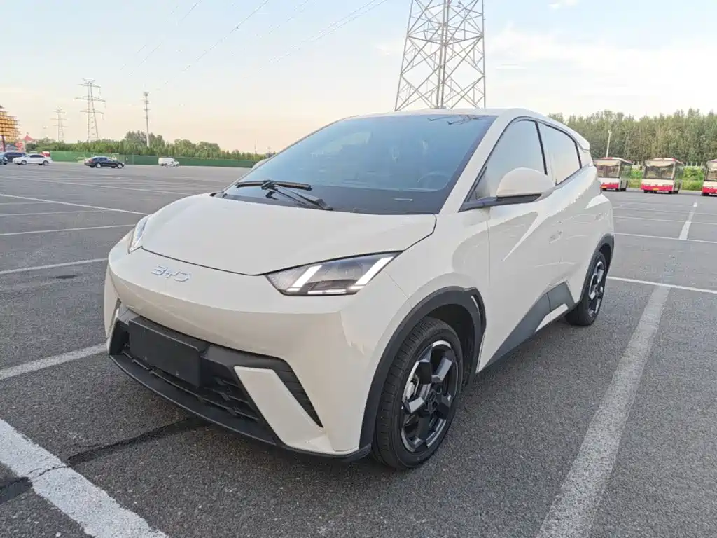 BYD Seagull 2024