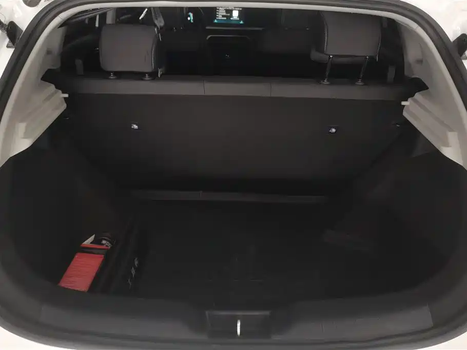 BYD e2 2021 Comfort Model фото 4