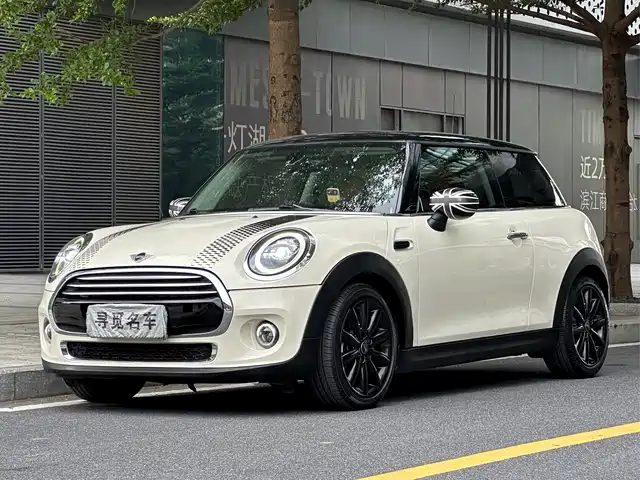 mini 