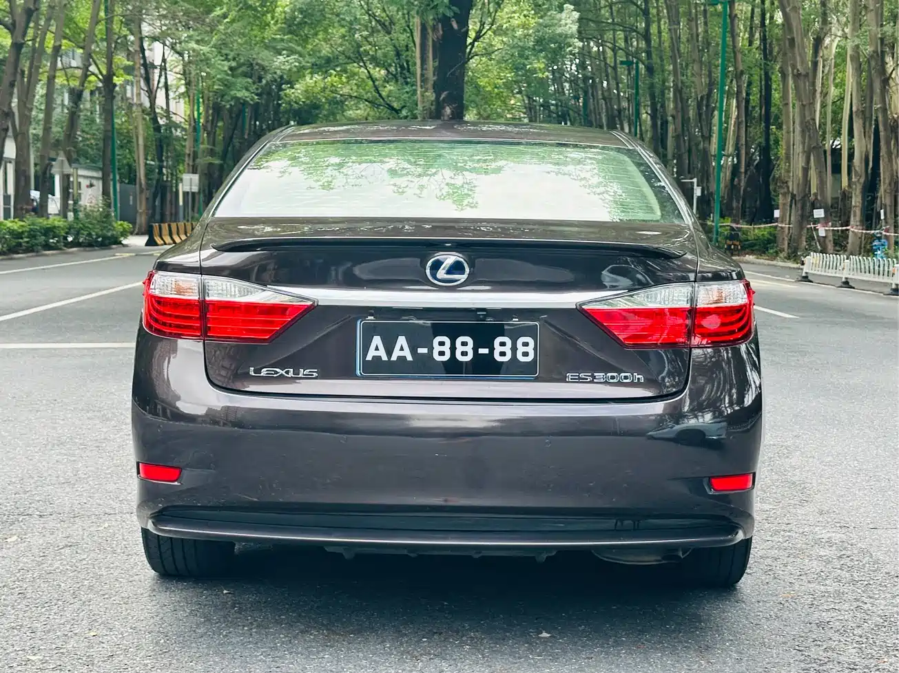 Lexus ES 2014 300h Elite Edition фото 10