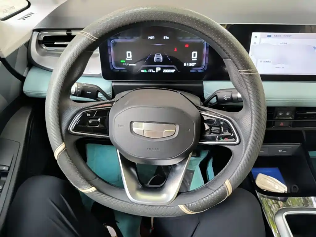 Geely Geometry E Firefly 2024 2024 Model 301km Starlight