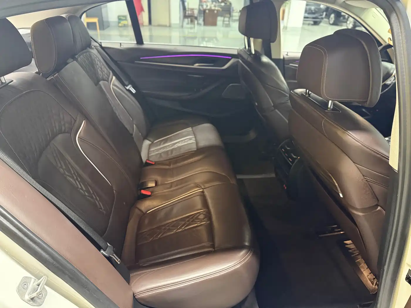 BMW 5 Series New Energy 2020 530Le Range Upgrade Pioneer Edition фото 22