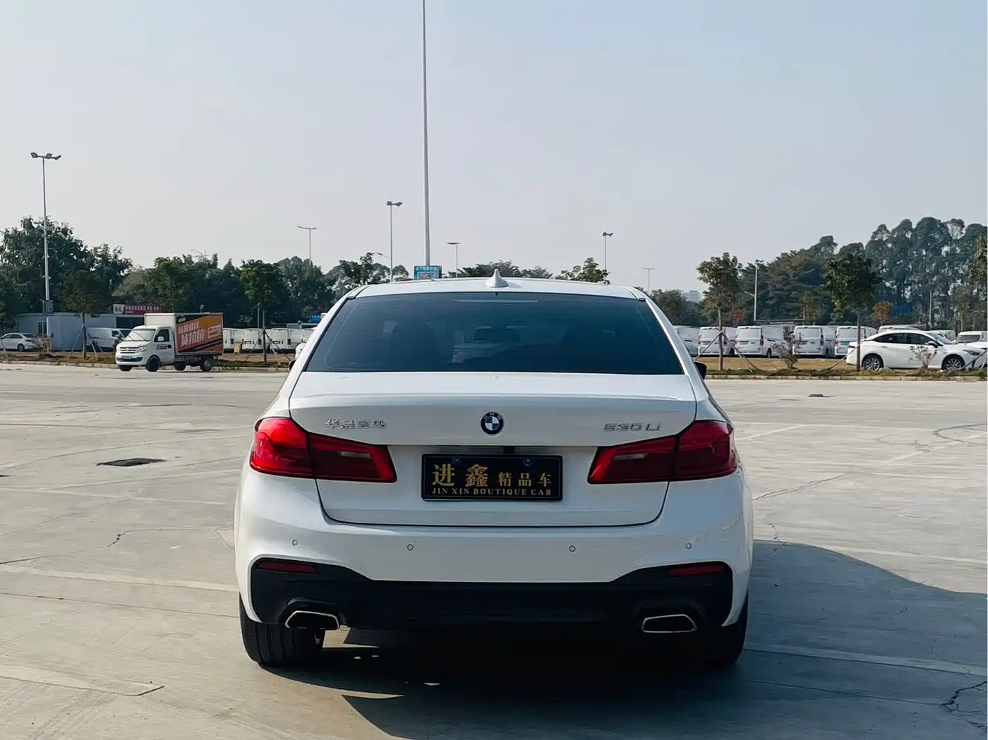 BMW 5 Series 2020 530Li Leading M Sport Package фото 5