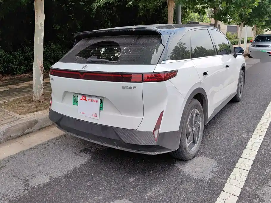 2025 Venucia VX6