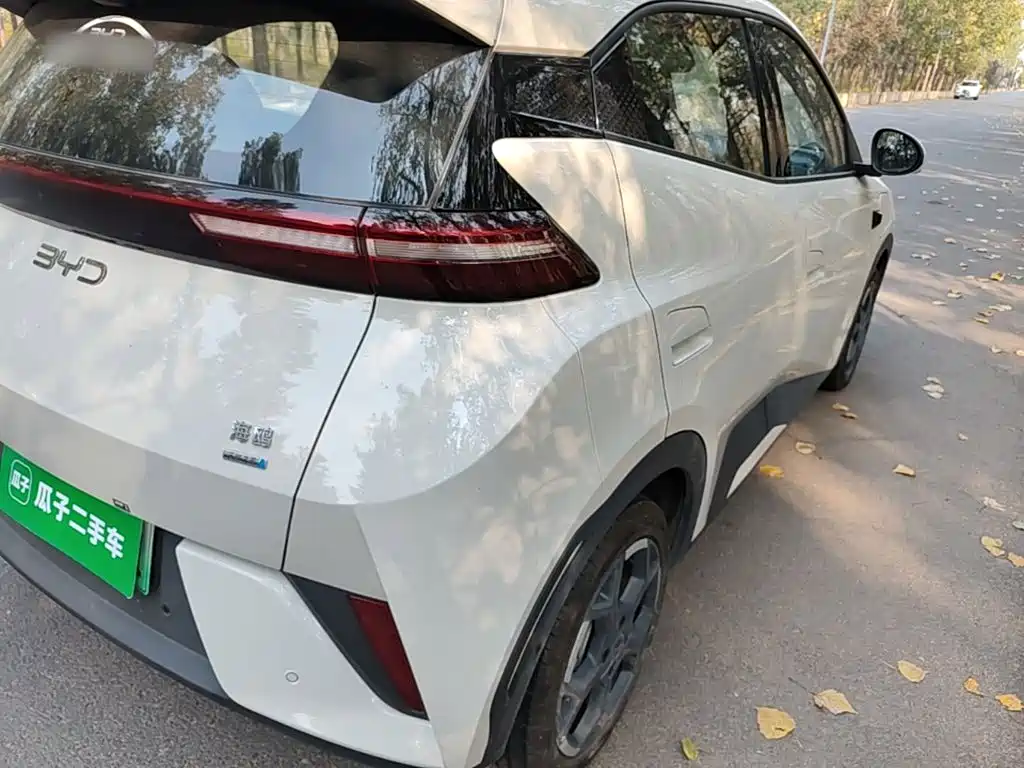 BYD Seagull 2026 2025 Smart Drive Edition 305km Freedom Version