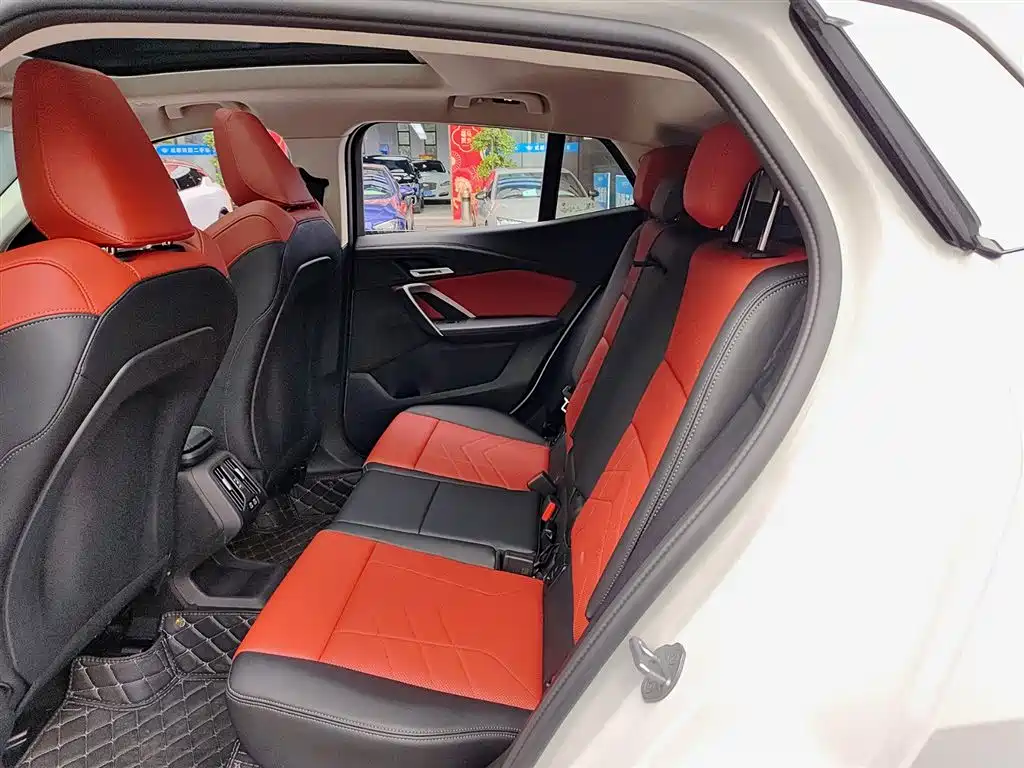 BMW X2 (Import) 2024 sDrive25i M Sport Package фото 8
