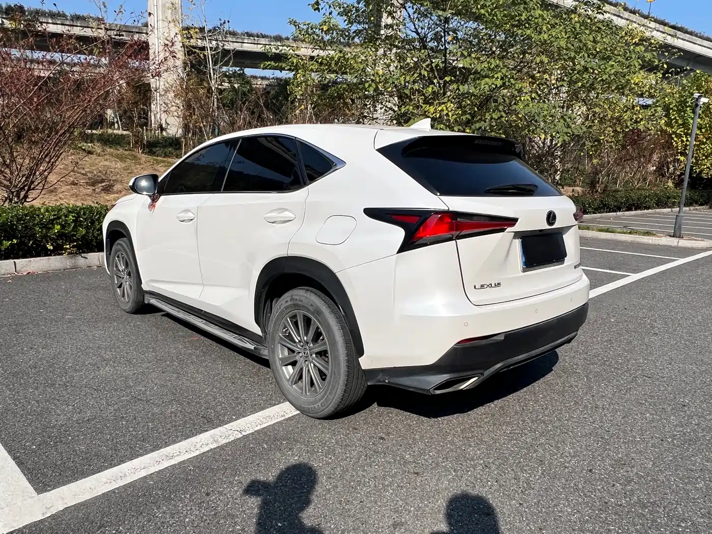 LEXUS NX