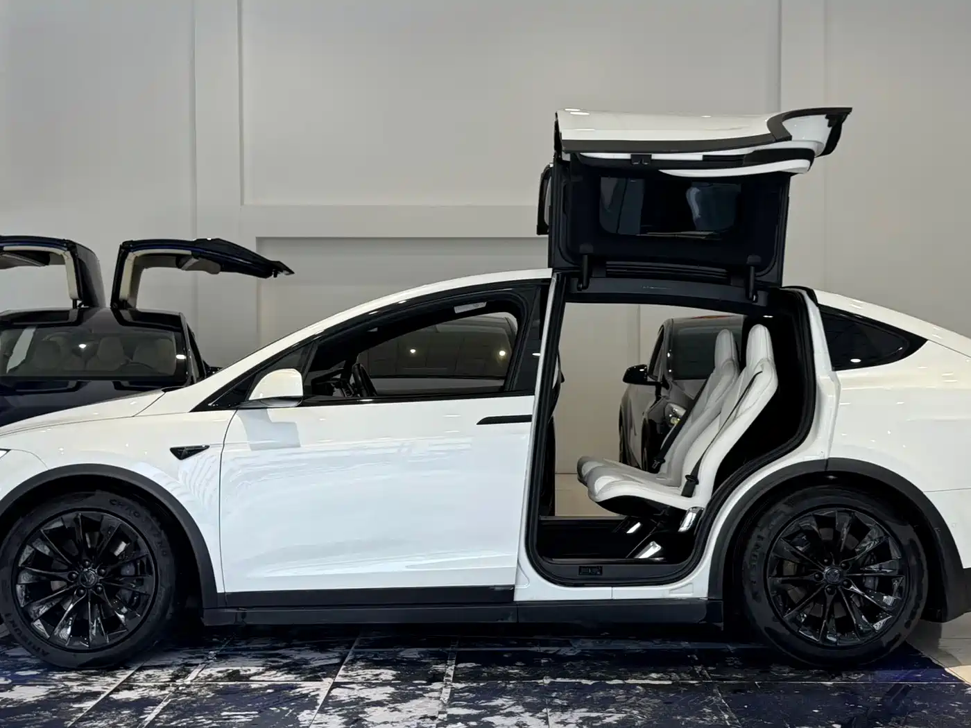 TESLA MODEL X