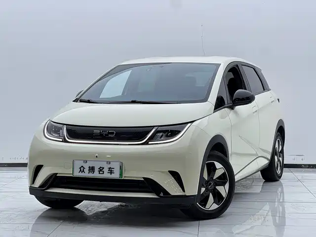 BYD Dolphin 420km, Свобода