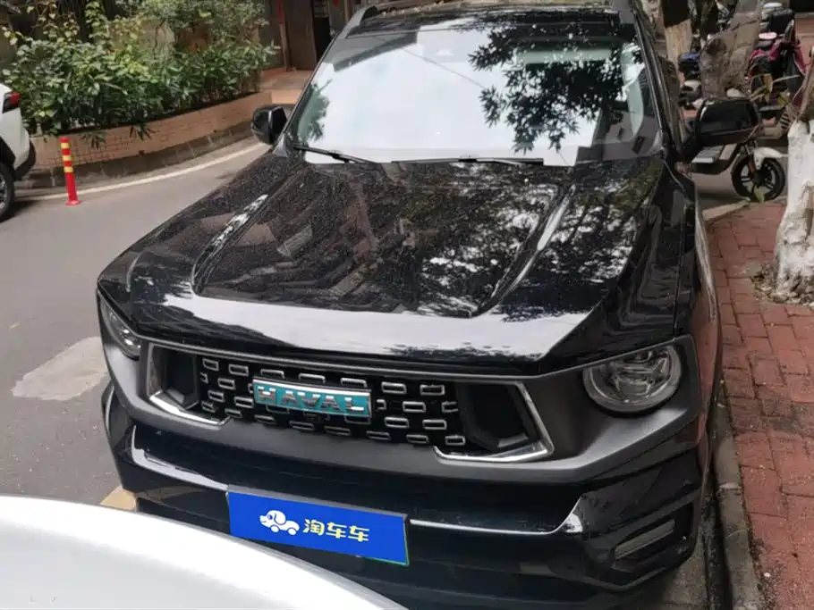 HAVAL SECOND GENERATION BIG DOG NEW ENERGY