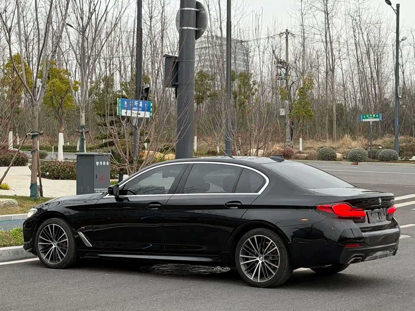 BMW 5 Series 2021 530Li Leading M Sport Package фото 7