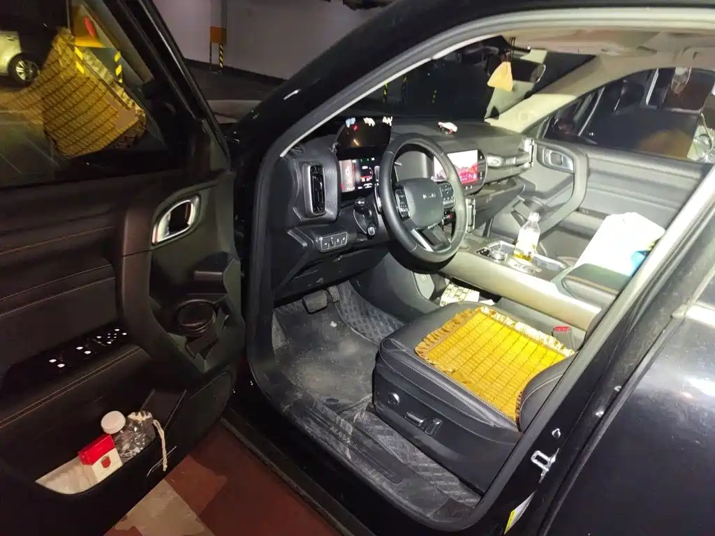Haval Dargo 2024 2024 1.5T DCT Border Collie Edition