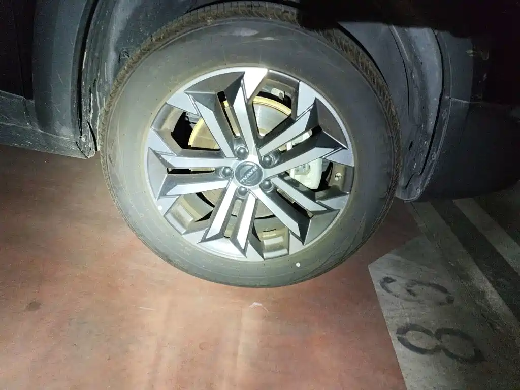 Haval Dargo 2024 2024 1.5T DCT Border Collie Edition