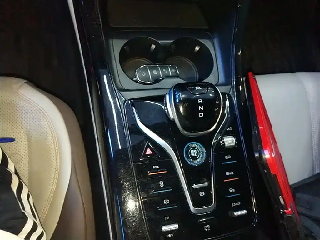 BYD Qin PLUS 2024 Glory Edition DM-i 55KM Leading фото 14